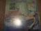MARILLION - FUGAZI - LP