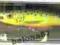 Wobler Rapala Deep Tail Dancer 11cm 22g HS