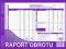 RO raport obrotu 413-1