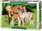 CASTOR 120 EL. Rodzina Koni PUZZLE