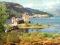 CASTOR 2000 EL. ZAMEK EILEAN DONAN PUZZLE