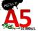 EKSTRA ULOTKI A5  10 000 2-str - Druk 3-5 dni