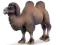 SCHLEICH WIELBŁĄD DWUGARBNY