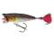 WOBLER Jaxon POPPER 9 CM kolor E - na bolenia!