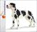 Schleich Pies Dog Niemiecki Suka 16384