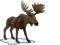 Figurka F7023 Łoś Animal Planet