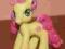 My Little Pony- kucyk