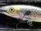 Wobler Rapala Deep Tail Dancer 11cm 22g SD