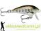 Wobler Rapala Mini Fat Rap 3cm-F/4g, Kol: MD
