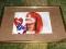 HAYLEY WILLIAMS Paramore 13-18 cm i inne