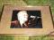 RAY MANZAREK The Doors 13-18 cm i inne