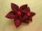 Broszka, filc, kwiat, bordowa