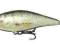 Salmo Executor Shallow 5cm, 5g, IEX5SR RD