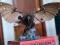 Songbird Figurka Bioshock Edycja Kolekcjonerska