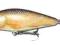 Salmo Perch PH14SR RR 14cm 50g - świetna imitacja