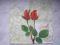 SERWETKI DO DECOUPAGE*1zł.za 2 szt/50g za szt/ 020