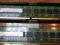1GB DDR2 533MHz HYNIX PC2-5300e 555