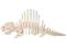 Puzzle drewniane_składanka_ Dimetrodon