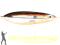 Wobler Rapala Rattlin' Minnow Spoon 5cm-9g, SBR