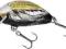 Wobler Salmo Tiny 3cm, 2g, IT3S BC, kleń, jaź