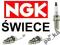 NGK świece SKLEP wybór PASSAT 1997-2005 2.5 TDi