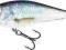 WOBLER  SALMO EXECUTOR 7SR RD WOBLER BYDGOSZCZ