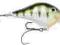 RAPALA WOBLER  DTFATSS 01 kolor YP