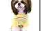 Pizamka lub Dres * SWEET PUPPY * Yellow DogsZone