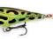 Rapala Skitter Pop SP07 LF, 7cm 7g