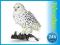 SCHLEICH Sowa śnieżna OKAZJA 24H