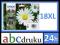4x TUSZ EPSON 18XL T1816 T1811 T1812 T1813 T1814 ! 4x TUSZ EPSON 18XL T1816 T1811 T1812 T1813 T1814 !
