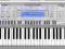 Syntezator, Keyboard CASIO WK-210