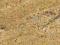 PŁYTKI GRANIT KASHMIR MADURA GOLD 45,7x45,7x1,2 CM
