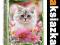 Puzzle 260 Kotek i kwiaty CASTOR