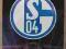 Panini CH L 2014 Team Logo FC SCHALKE 04