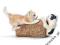 SCHLEICH Bawiące się kocięta new 2013 24DHL