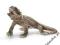 SCHLEICH Jaszczurka 24DHL