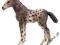 SCHLEICH Kuc Knabstrupper 24DHL