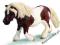 SCHLEICH KUCYK RASY SHETLAND 24DHL