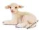 SCHLEICH LEŻĄCA OWIECZKA 24DHL
