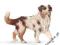 SCHLEICH Owczarek australijski suka 24DHL