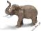 SCHLEICH Słoń Indyjski, samiec 24DHL