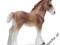 SCHLEICH ŹREBAK RASY CLYDESDALE 24DHL