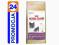 ROYAL CANIN BRITISH SHORTHAIR 4KG ____ PROMOCJA24