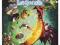 Gra PC Rayman Legends GORZÓW