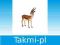 ANIMAL P. Samiec gazeli Thomsona OD RĘKI