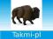 ANIMAL P. Bizon amerykański OD RĘKI