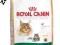 ROYAL CANIN Maine Coon 10kg+2kg GRATIS!!KURIER 24H
