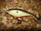 WOBLER RAPALA SHALLOW SHAD RAP - 5cm/5g - OKAZJA !