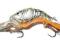 Raczek Storm Thunder Craw CW05541 5cm 3g PROMOCJA